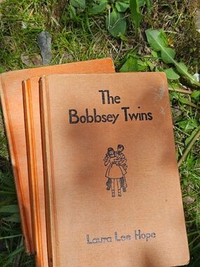The Bobbsey Twins by Laura Lee Hope